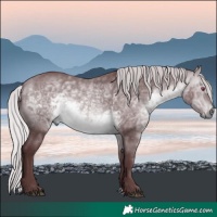 Horse Color:Chocolate Silver Bay Chinchilla Mushroom 