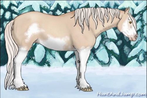 Horse Color:Silver Classic Champagne Dun Splash Frame 