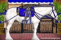 Horse Color:Perlino Appaloosa 