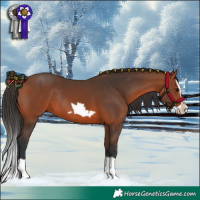 Horse Color:Bay Splash Frame Rabicano 