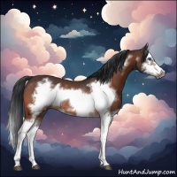 Horse Color:Bay Splash Frame Rabicano 