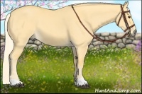 Horse Color:Palomino Dun 