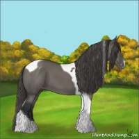 Horse Color:Grullo Tobiano Varnish 