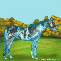 Horse Color:Void Thunderstruck Bay Ice Onyx Tobiano Near Leopard