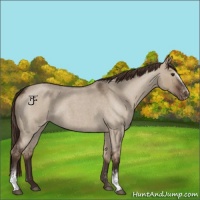 Horse Color:White Spotted Liver Red Dun Roan Varnish 