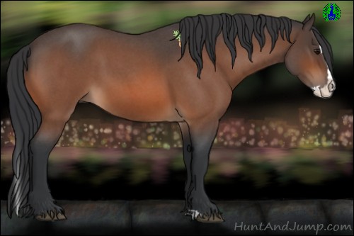 Horse Color:White Spotted Bay Splash Rabicano