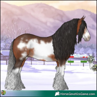 Horse Color:Bay Splash Frame Rabicano