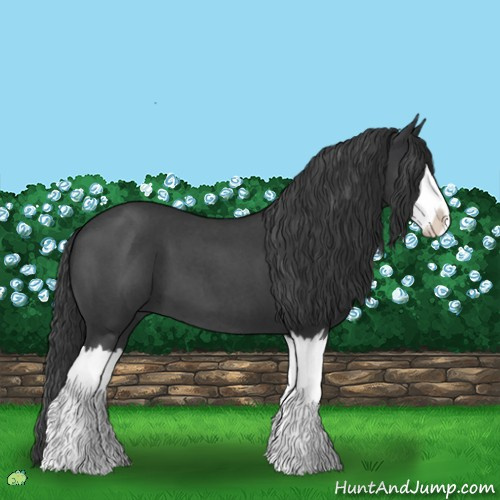 Horse Color:Blue Roan Splash