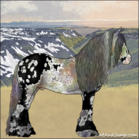 Horse Color:Nacre White Spotted Bay Ice Splash Appaloosa