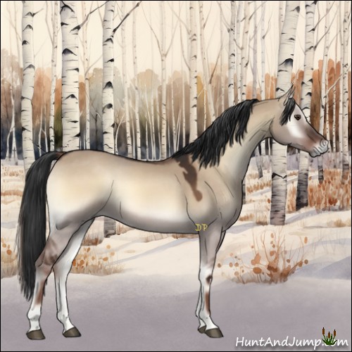 Horse Color:Liver Red Dun Onyx