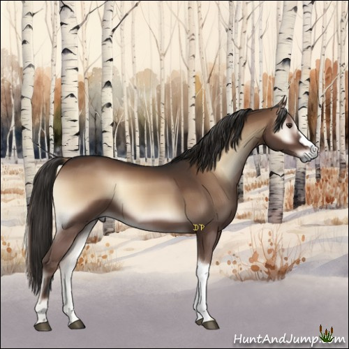 Horse Color:Liver Red Onyx 
