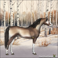 Horse Color:Liver Red Onyx 
