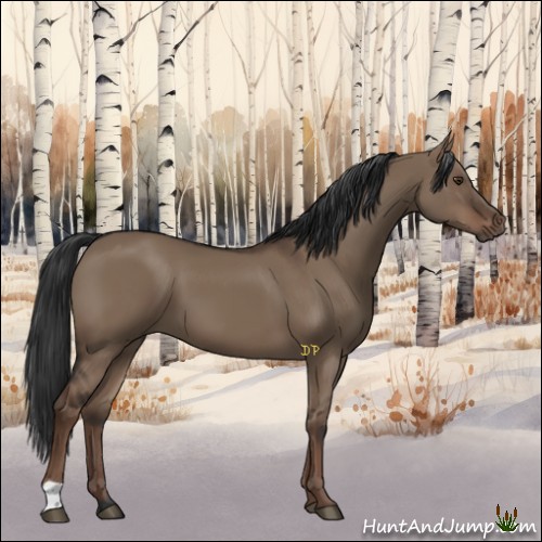 Horse Color:Liver Red Dun 