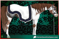 Horse Color:Liver Chestnut Splash Frame 