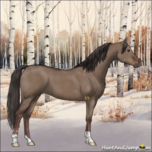 Horse Color:Liver Red Dun 
