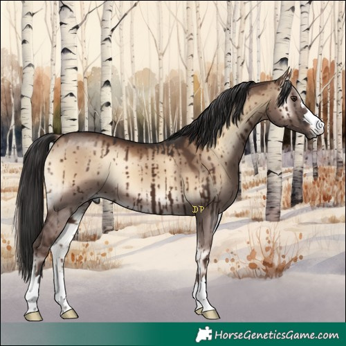 Horse Color:Liver Red Dun Onyx Brindle 