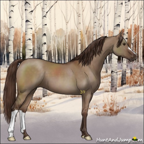 Horse Color:Liver Red Dun 