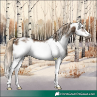 Horse Color:Chocolate Palomino Sabino Frame