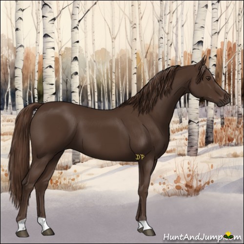 Horse Color:Liver Chestnut