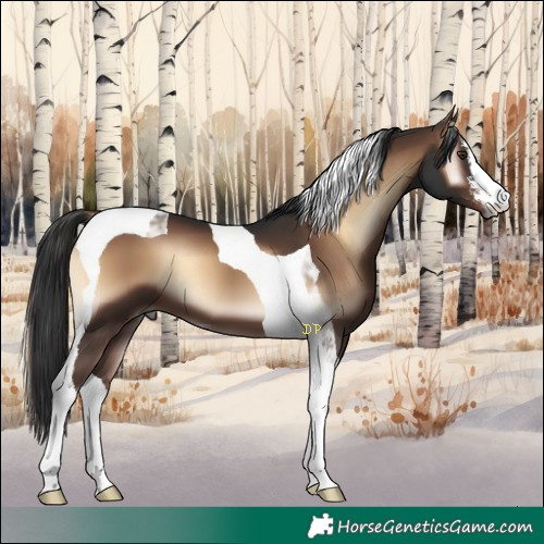 Horse Color:White Spotted Liver Red Onyx Tobiano 
