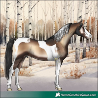 Horse Color:White Spotted Liver Red Onyx Tobiano