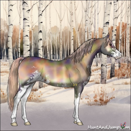 Horse Color:Nacre Chocolate Palomino Onyx Sabino