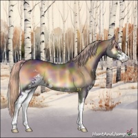 Horse Color:Nacre Chocolate Palomino Onyx Sabino
