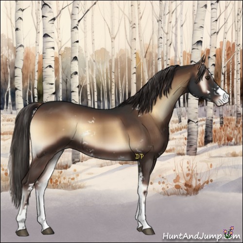 Horse Color:Liver Red Onyx Sabino 