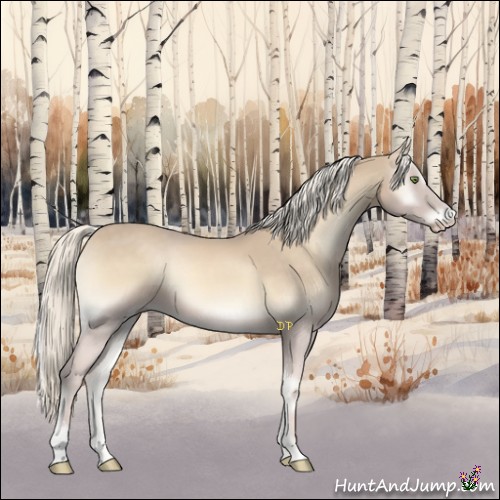Horse Color:Cremello Onyx Sabino 