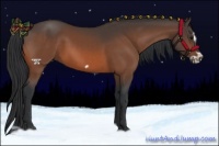 Horse Color:Bay Splash Frame Rabicano 