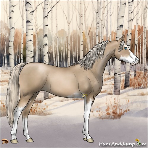 Horse Color:Chocolate Palomino Pearl Sabino 