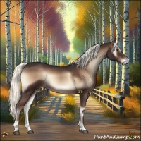 Horse Color:Liver Red Onyx Mushroom 