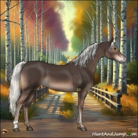 Horse Color:Liver Chestnut Mushroom 