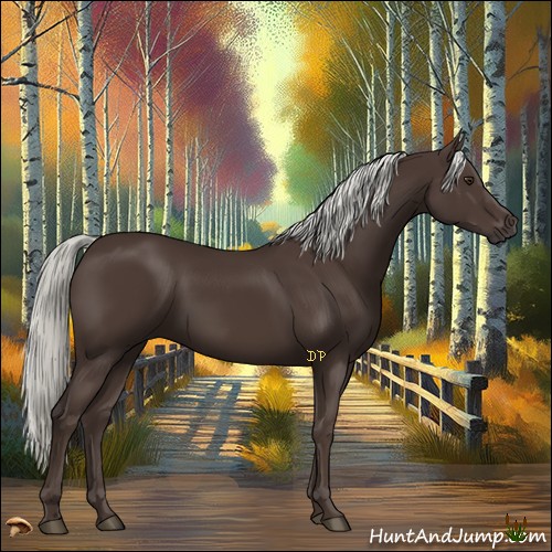 Horse Color:Liver Chestnut Mushroom 