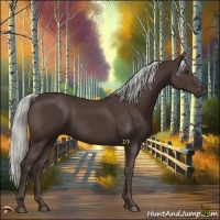 Horse Color:Liver Chestnut Mushroom 