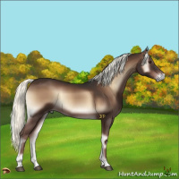 Horse Color:Liver Red Onyx Mushroom 