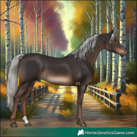 Horse Color:Liver Chestnut Mushroom 