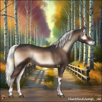 Horse Color:Liver Red Onyx Mushroom 