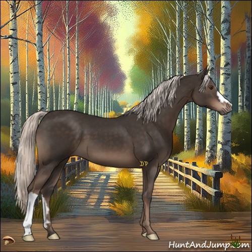 Horse Color:Liver Chestnut Mushroom 
