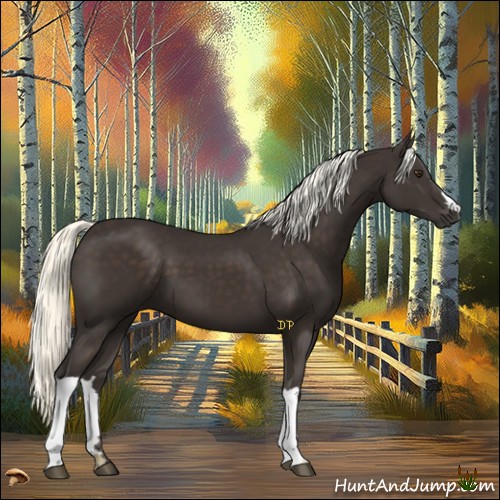 Horse Color:Liver Chestnut Mushroom