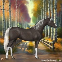 Horse Color:Liver Chestnut Mushroom 