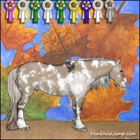 Horse Color:White Spotted Silver Brown Dun Sabino 