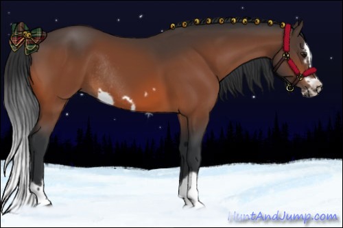 Horse Color:Bay Splash Frame Rabicano