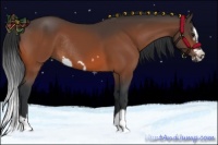 Horse Color:Bay Splash Frame Rabicano 