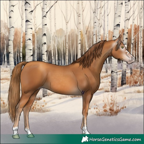 Horse Color:Gray Gold Champagne 