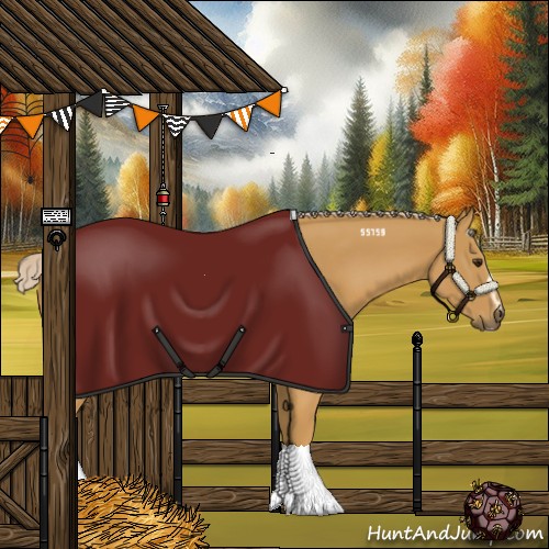 Horse Color:Palomino Sabino 