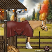 Horse Color:Palomino Sabino