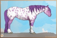 Horse Color:Watercolor Amber Cream Champagne Tobiano Blanket 