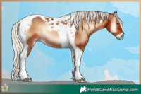 Horse Color:Silver Brown Onyx Tobiano Rabicano 