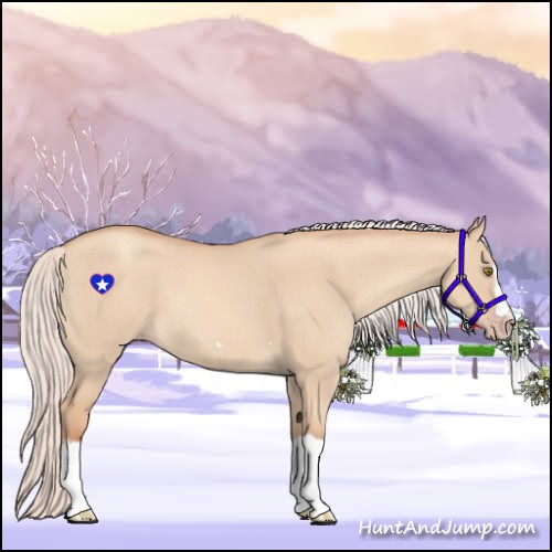Horse Color:Silver Classic Champagne Dun Splash Frame 